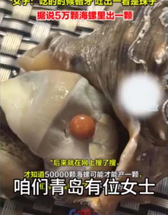 女子于家宴中吃出 1 颗罕见橘色海螺珠!