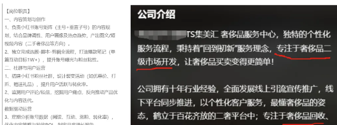 图片[5]-一人CEO的隐秘掘金术：如何在招聘信息中嗅出暴利项目！-墨鱼笔记